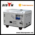 BISON Chine Zhejiang fabricant de porcelaine électrique 220v, générateur alternateur 220v, générateur diesel 13 kva